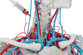 create professional 3d medical, anatomy, surgical and healthcare animatio