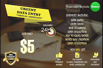 perform urgent data entry, web research and copy paste 24hrs