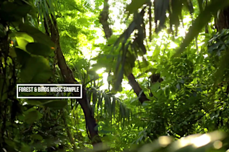 create relaxing nature music video with sound
