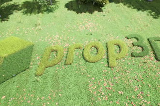 make a 3d eco friendly logo reveal animation intro with green grass and trees