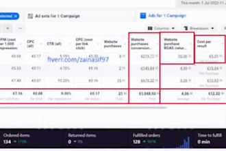 be your meta ads 1 to 1 consultant and coach