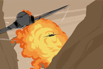 do best professional storyboard for you