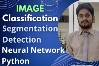 do image classification segmentation detection models in python