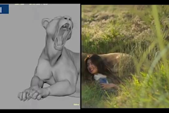 create and integrate realistic 3d animal animation, 3d animal model rigg, vfx cg