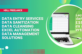 quick excel data entry services for small tasks