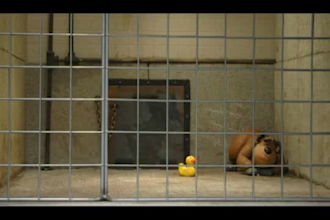 do create  3d claymation animation, clay modeling, stop motion animation, clay