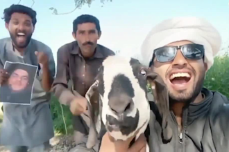 african happy birthday video african happy birthday video