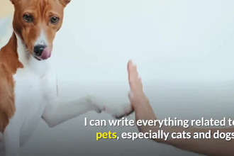 write articles for pet blog, animal care, dog training