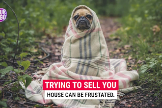 make funny dog video ads for real estate