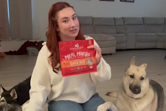 create fun, relatable dog ugc short form ads for your pet brand