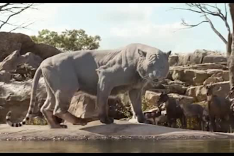 do realistic 3d animal animation, 3d animal model, cgi, 3d animal rigging vfx