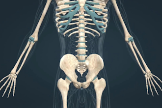 do 3d medical animation 3d medical orthopedic surgery 3d human skeletal anatomy