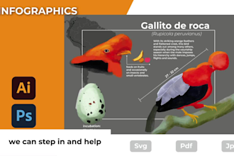 design graphical abstracts, diagrams and scientific illustrations