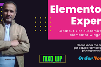 create widget, customize widget or fix widget of elementor
