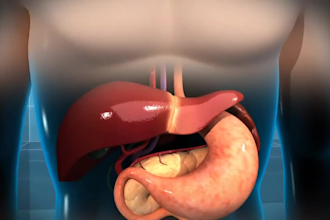 do  professional 3d medical animation