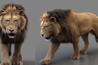 do realistic 3d animal model 3d animal rigging anima animation vfx xgen hair fur