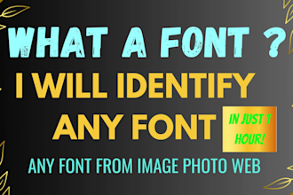identify and find fonts within minutes fast and accurate