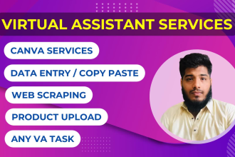 serve as your virtual assistant for canva, data entry, data mining, copy paste