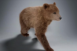 render 3d animal model, 3d animal rigging, groom xgen fur, 3d animal animation