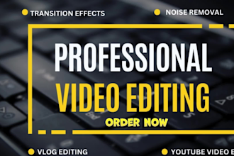 do professional video editing for vlog, travel youtube video podcast