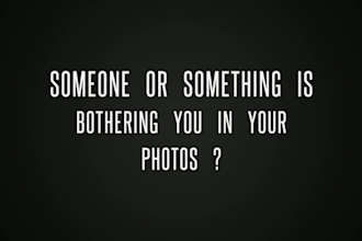 remove objects or persons from your pictures professionally