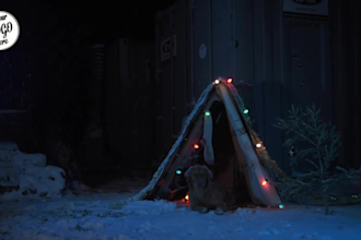 customize funny dog wait for santa greeting video