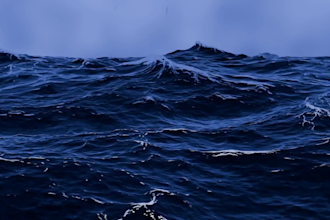 create animated background video loops for websites and video content