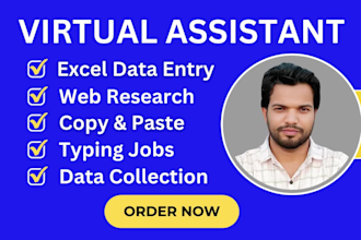 be your virtual assistant for excel data entry, web research and copy paste
