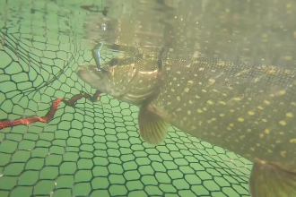 edit your fishing or hunting videos
