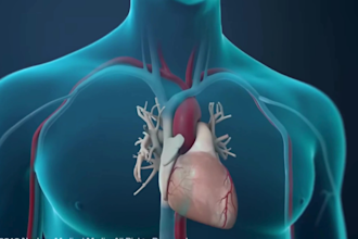 create 3d medical animation 3d orthopedic skeleton coronary surgery animation