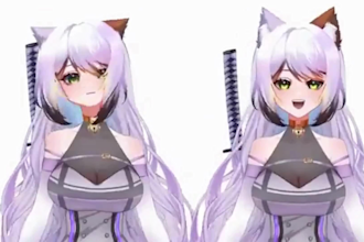 custom female vtuber commission male vtuber model  live2d vtuber rigging