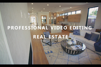 do professional luxury real estate video editing in 24 hours