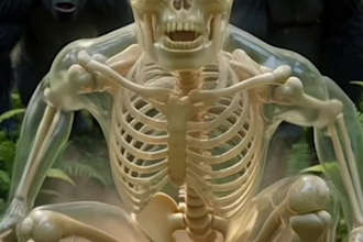 create dr data style ai skeleton animation shorts