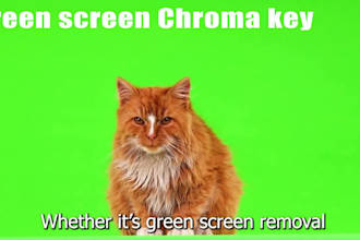 professional background remove for videos green screen