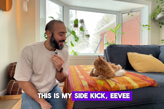 create engaging cat ugc video ads for your pet brand