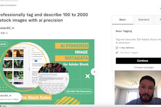 professionally tag and describe 100 to 2000 adobe stock images with ai precision
