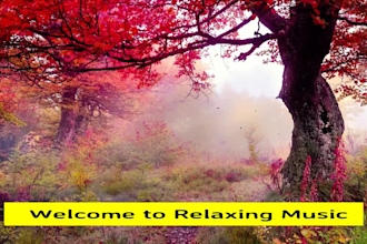 create youtube channel and meditation music video, relaxing music