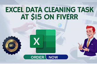 do excel data cleaning and organize your data accurately