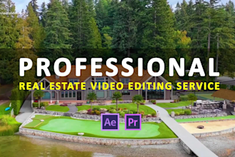 do professional real estate video editing in 24 hrs