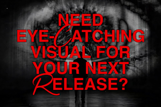 produce music promo visuals for artists and record labels