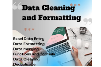 do data filter, sorting, formatting, clean and organize you excel or CSV data