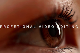 do professional  family and travel video editing