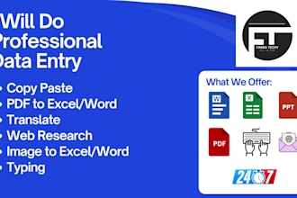 professional data entry copy paste, web research, VA, admin support