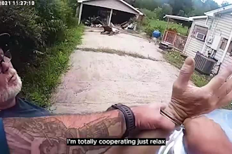 edit your true crime documentary videos in dr insanity style