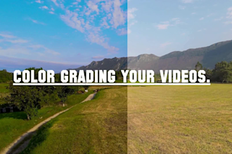 do professional cinematic color grading and color correction