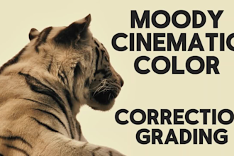 color correct and color grade your video or film