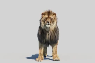 realistic 3d animal animation, 3d animal rig fur, hair 3d animal animation vfx