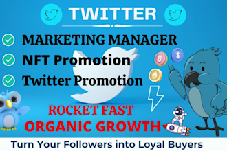 twitter marketing manager and nft promotion for rapid organic growth
