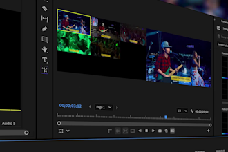 professionally edit multi camera, dj set and live concert