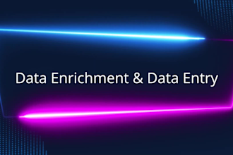 do data entry, data enrichment, data mining, data processing